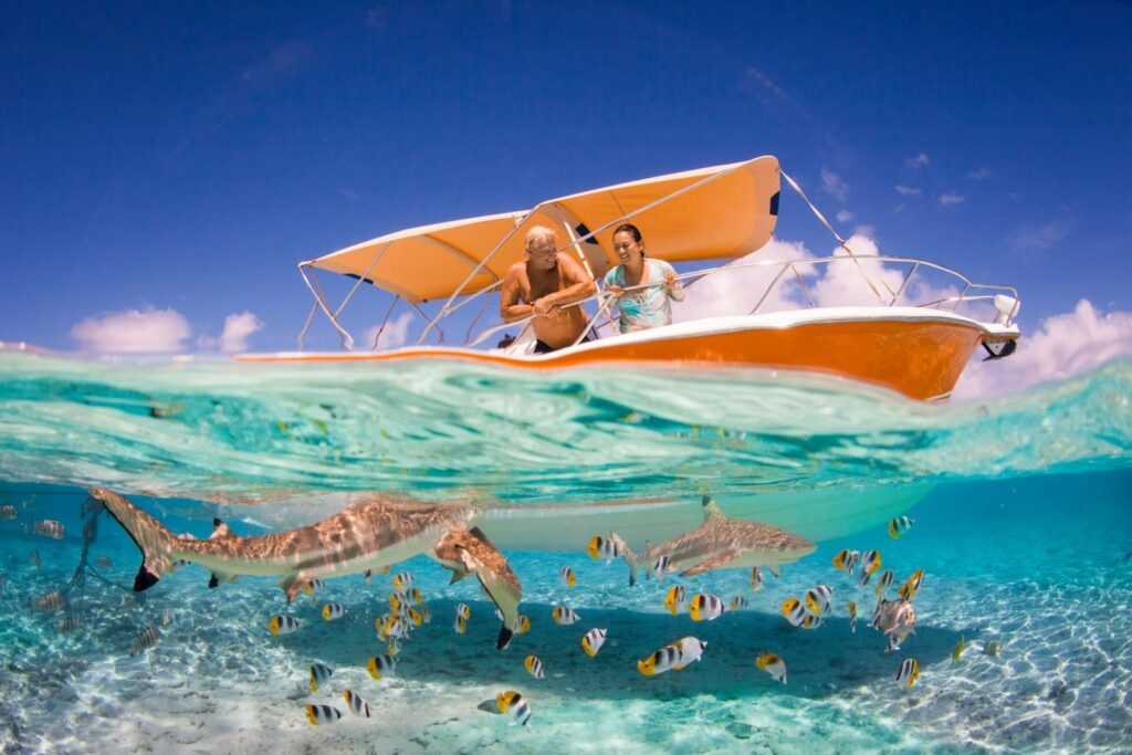 People looking at sharks from a boat in Bora Bora