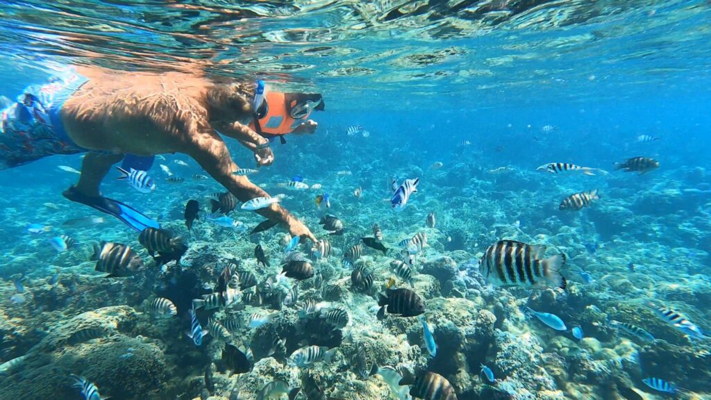 a man snorkeling with tropical fish in Bora Bora