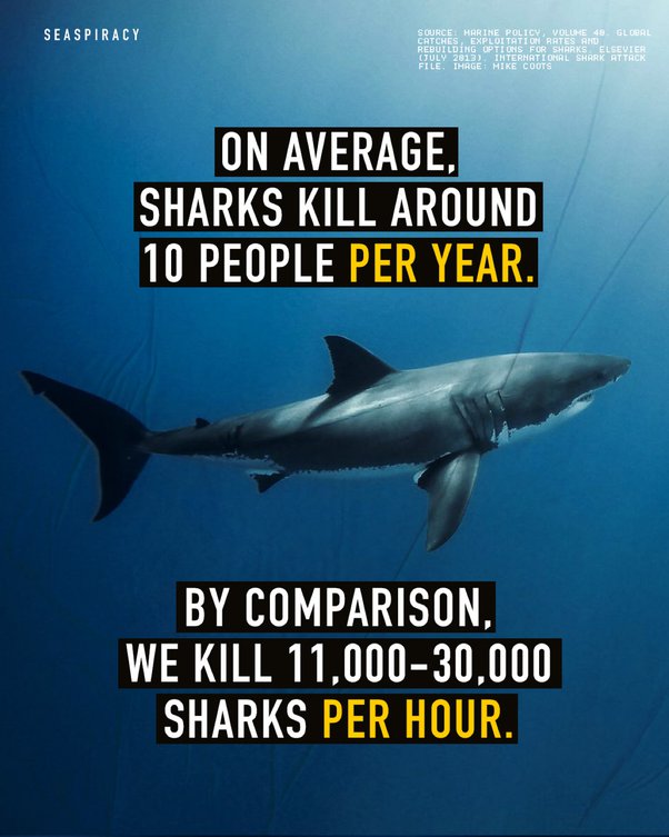 Poster about how many sharks are killed per year