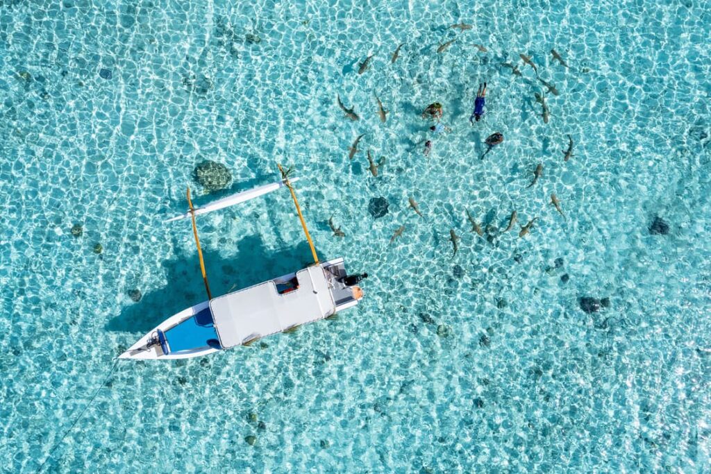 A boat from above with sharks around in bora bora