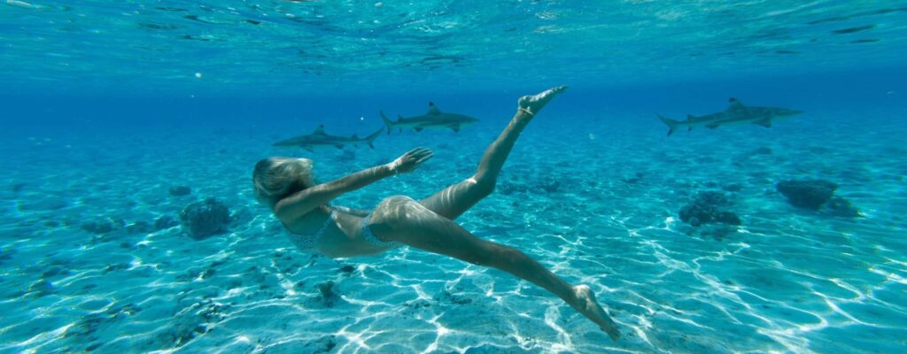 Girl swimming with sharks in Bora Bora