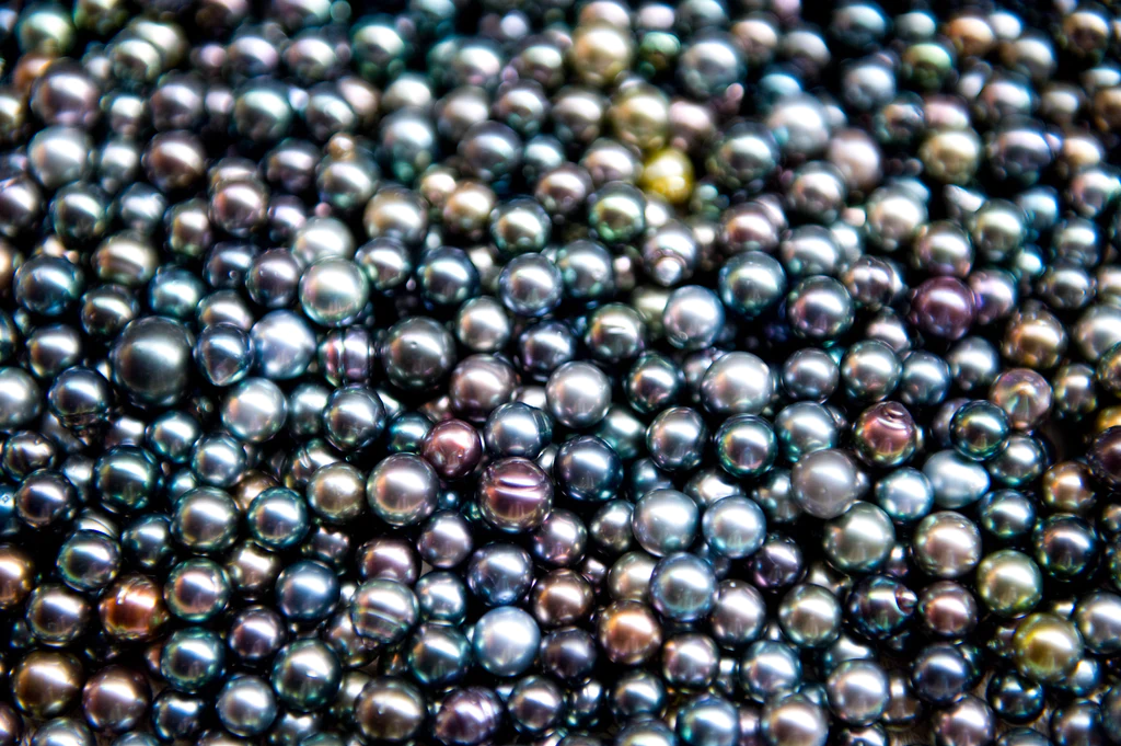 Black store tahitian pearls