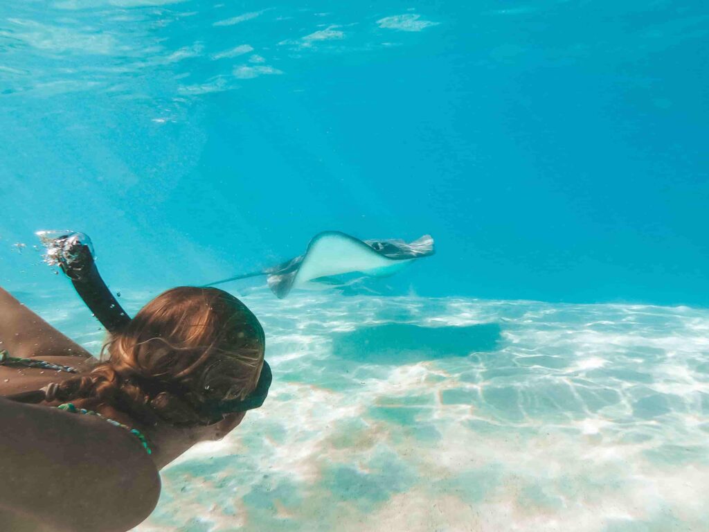 a girl snorkeling with a stingray in bora bora